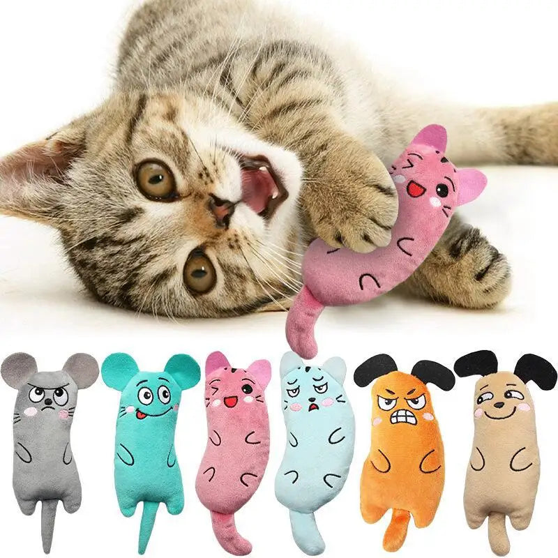 Pet Toys Collection