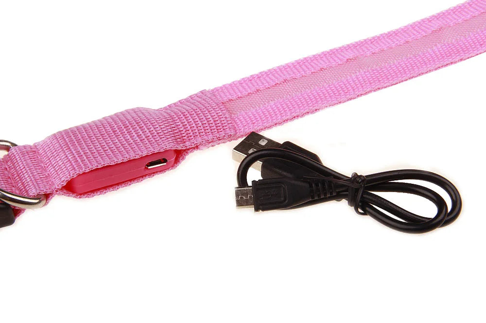 Glow Safety Pet Collar