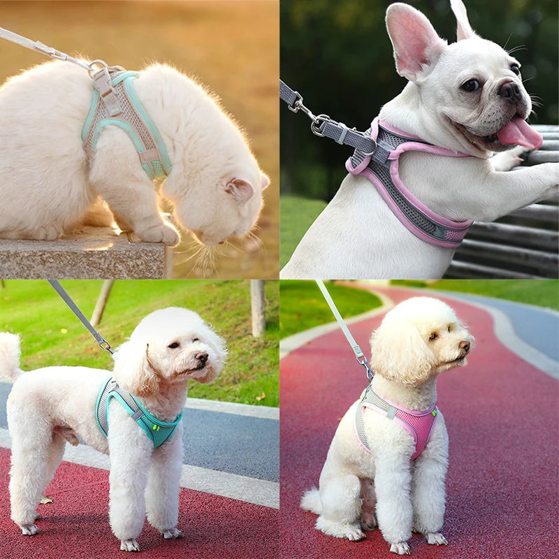 Adjustable Pet Harness & Leash