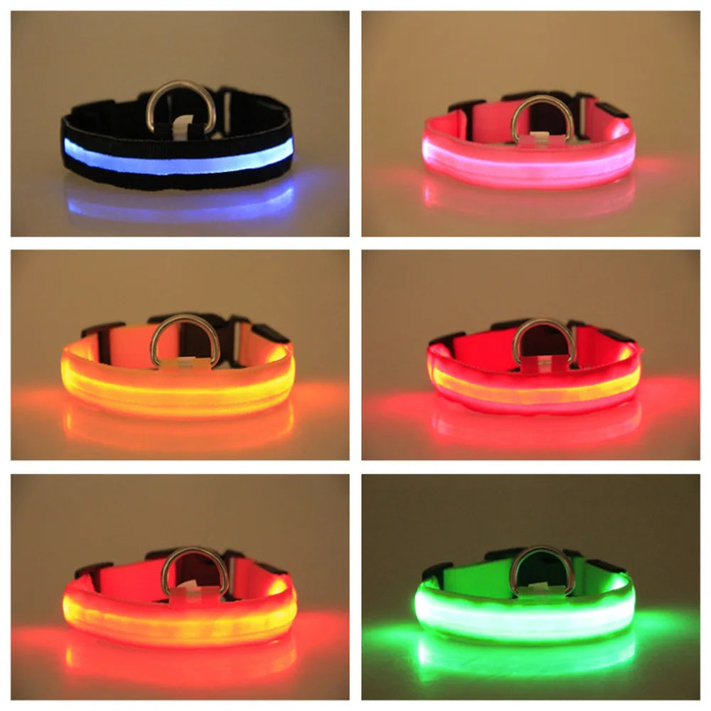 Glow Safety Pet Collar