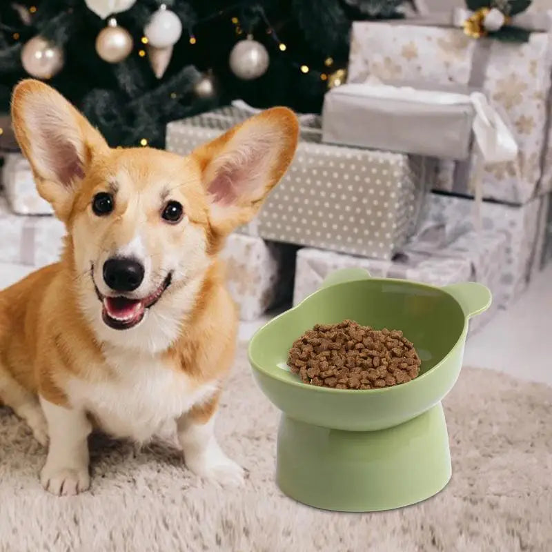 Elevated Anti-Vomiting Pet Bowl