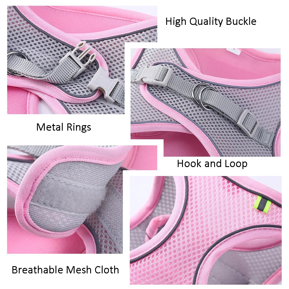 Adjustable Pet Harness & Leash