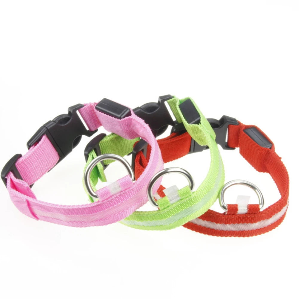 Glow Safety Pet Collar