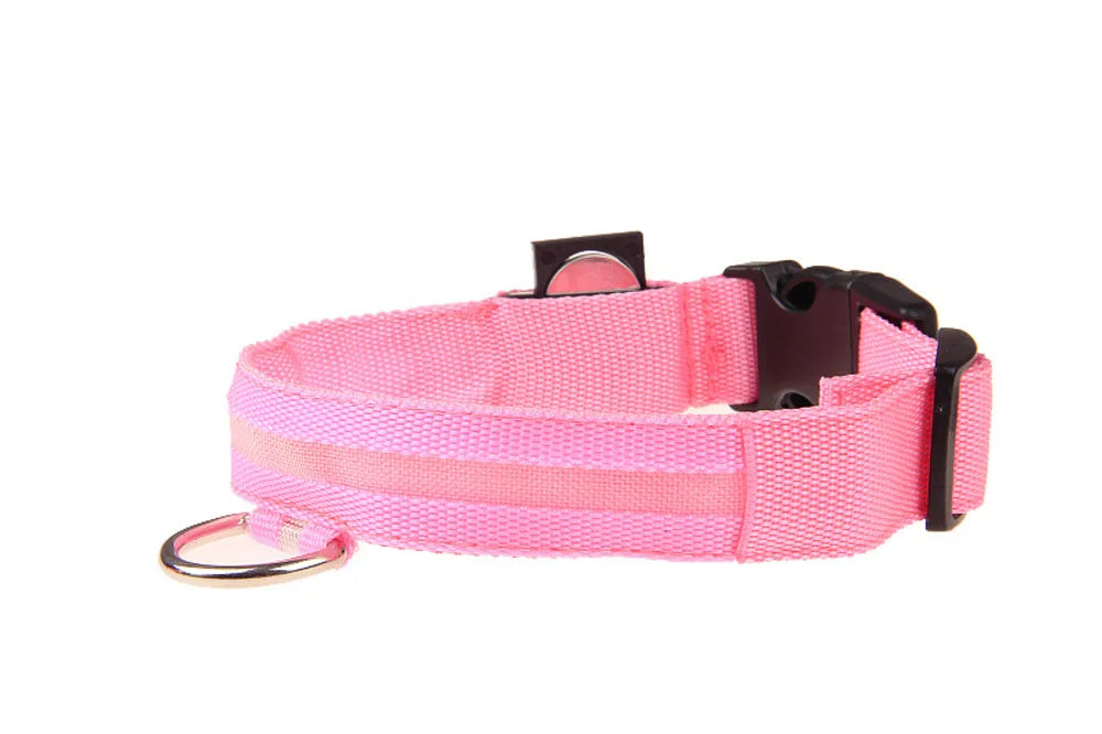 Glow Safety Pet Collar