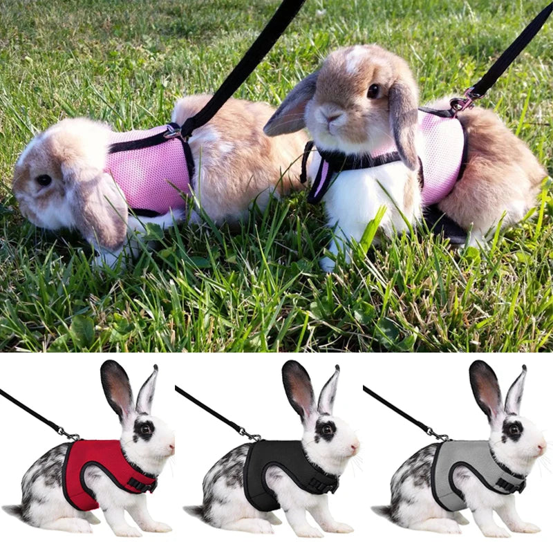 Rabbit Adjustable Harness & Leash Set