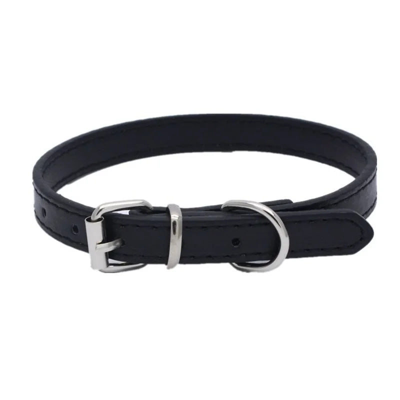 Adjustable Alloy Dog Collar