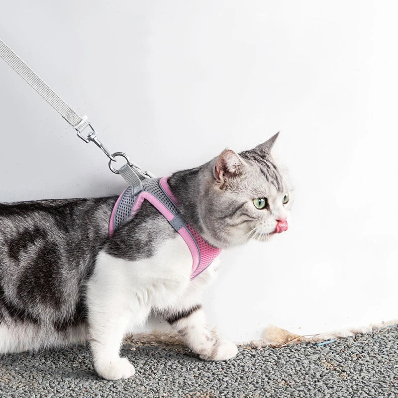 Adjustable Pet Harness & Leash