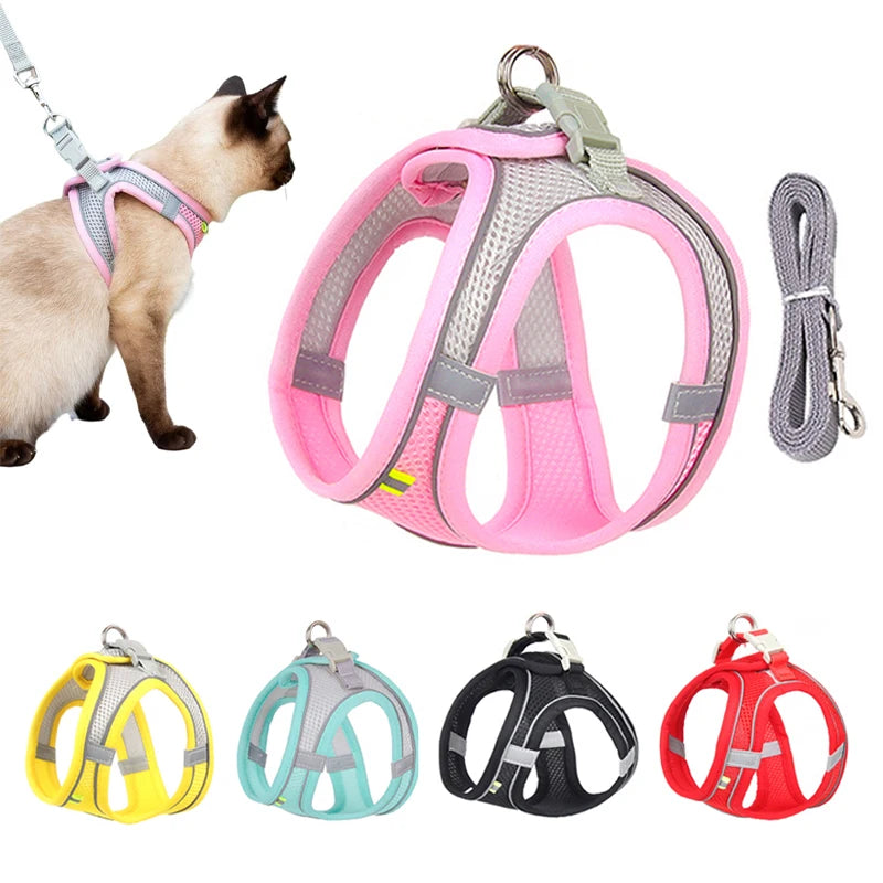 Escape-Proof Cat Harness Set