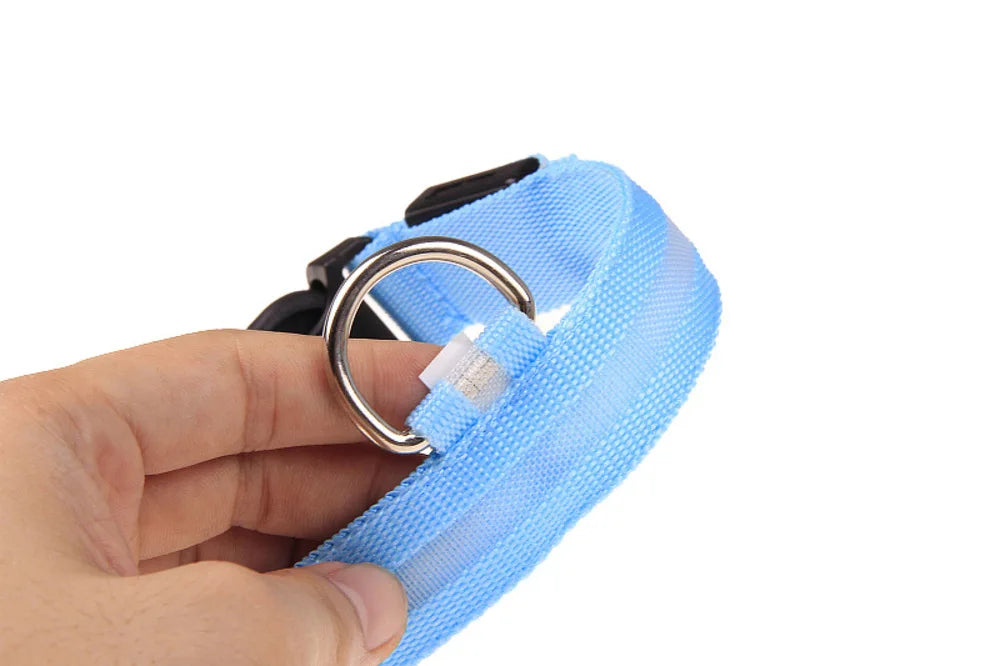 Glow Safety Pet Collar