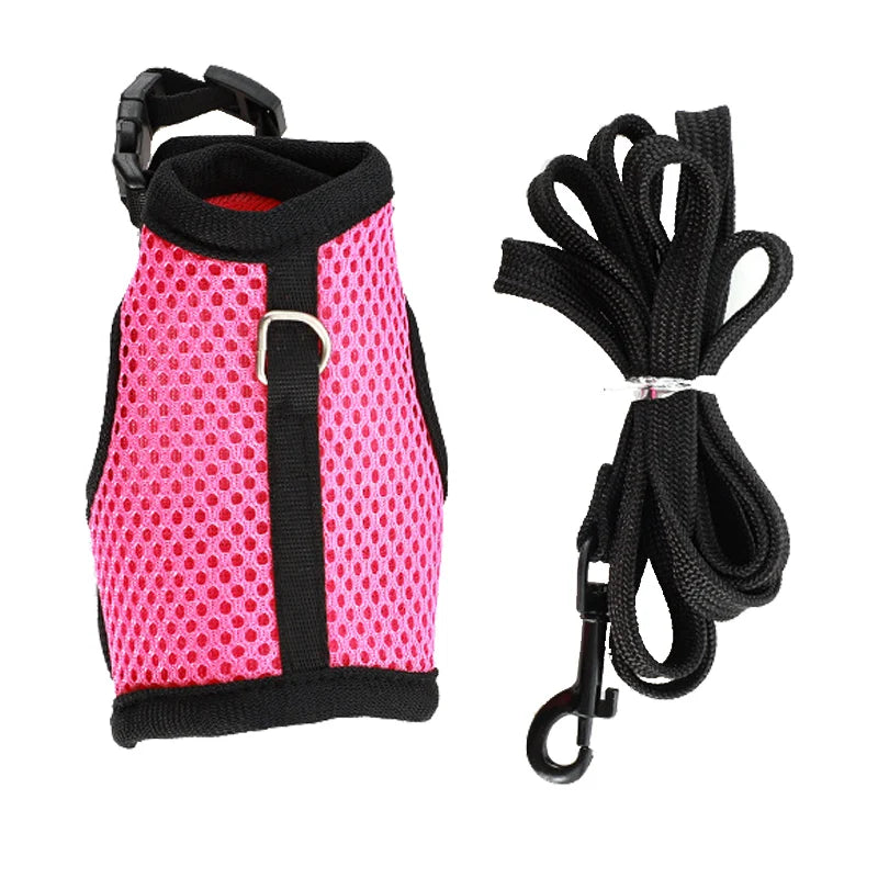 Rabbit Adjustable Harness & Leash Set