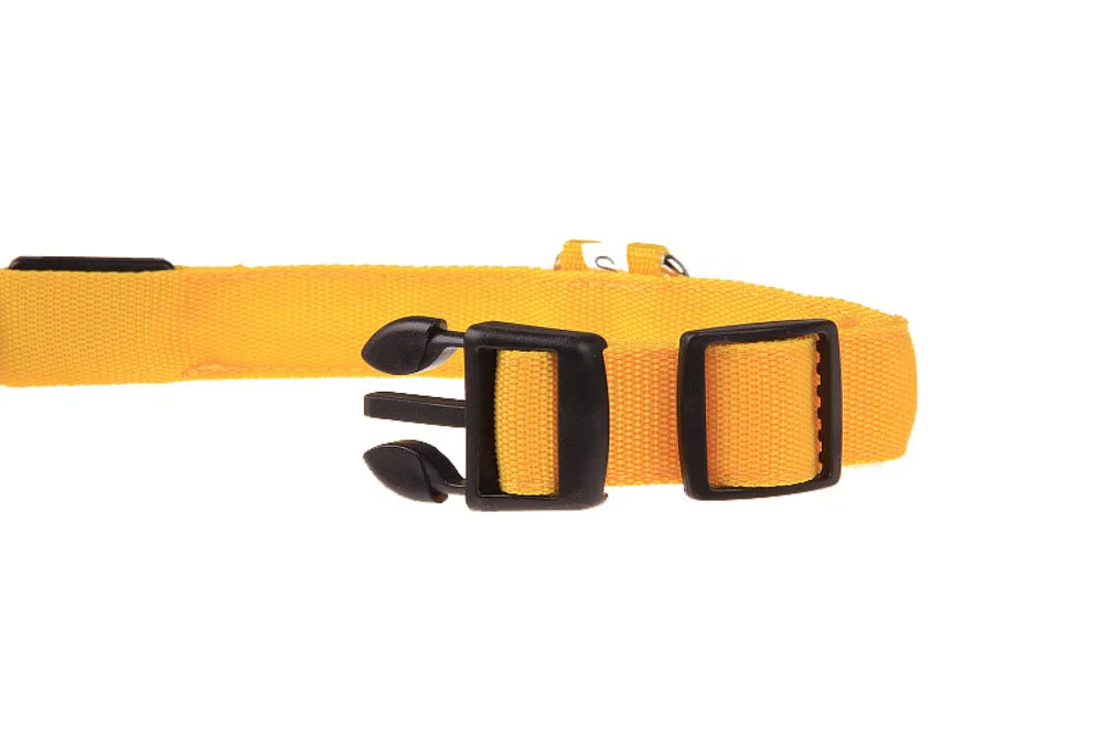 Glow Safety Pet Collar