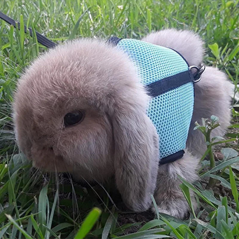 Rabbit Adjustable Harness & Leash Set