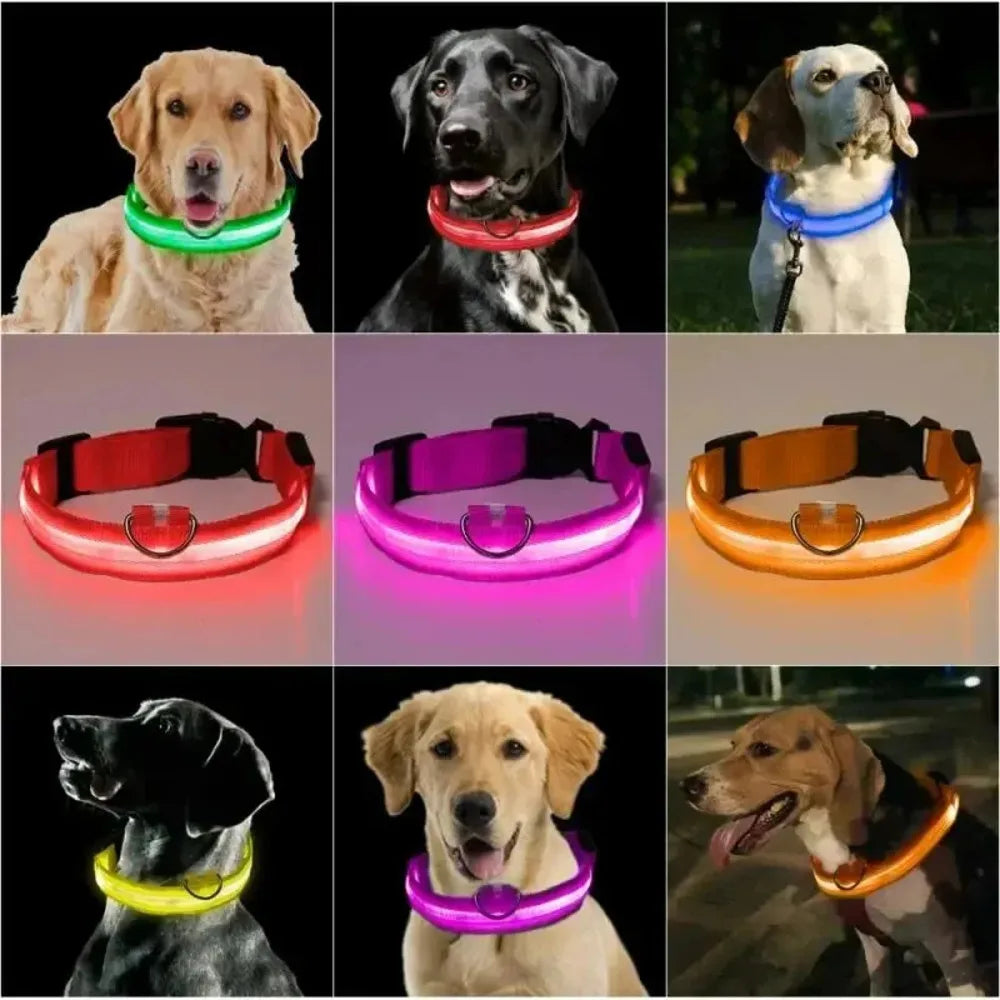 Glow Safety Pet Collar