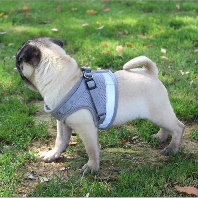 Breathable Adjustable Pet Harness