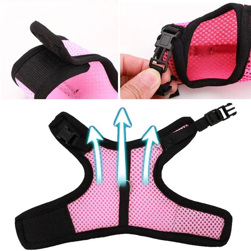 Rabbit Adjustable Harness & Leash Set