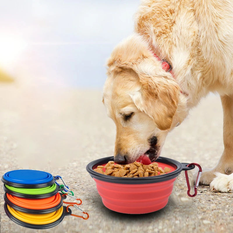 Collapsible Silicone Dog Bowl