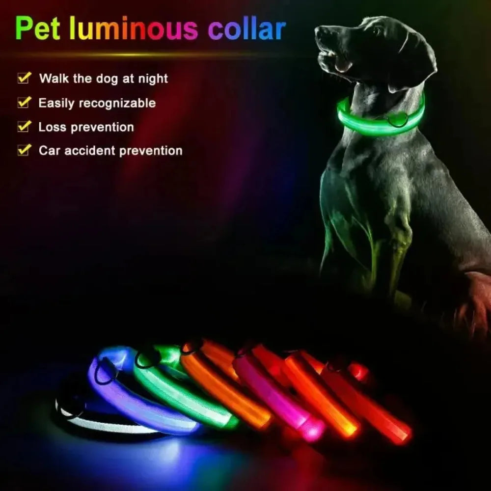 Glow Safety Pet Collar