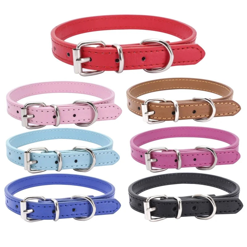 Adjustable Alloy Dog Collar