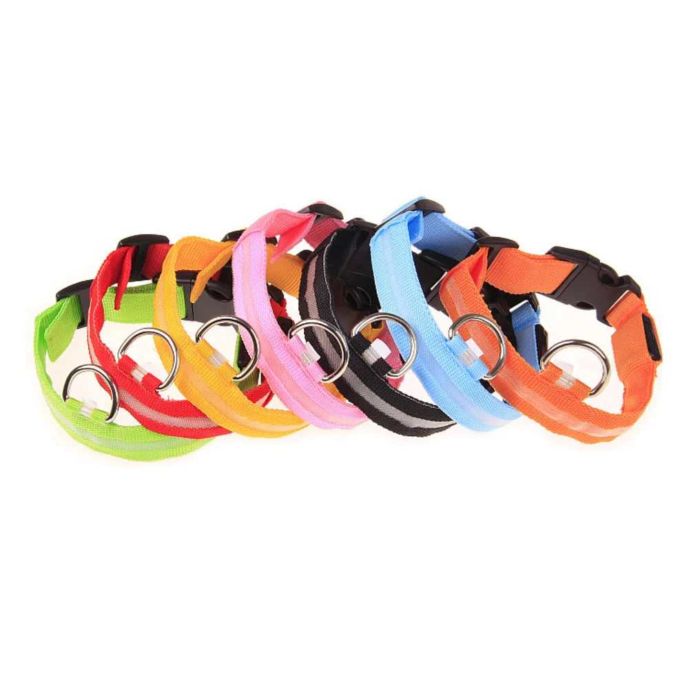 Glow Safety Pet Collar