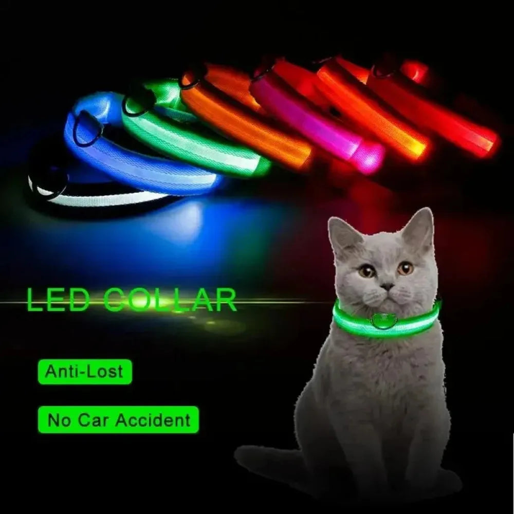 Glow Safety Pet Collar