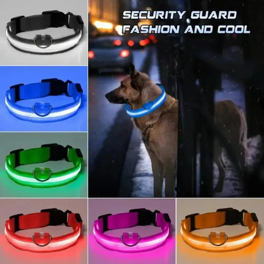 Glow Safety Pet Collar