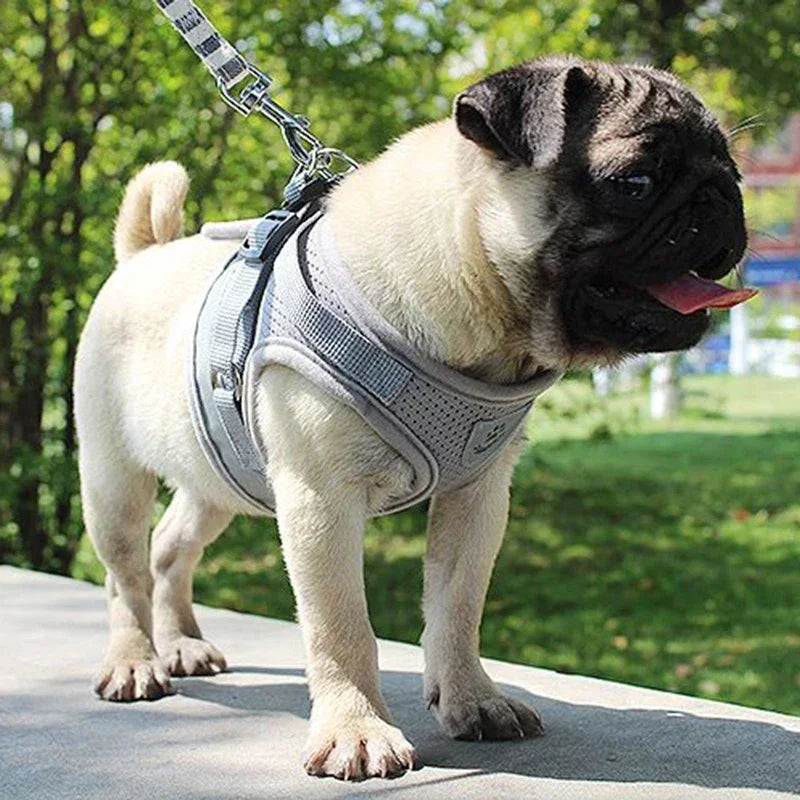 Breathable Adjustable Pet Harness