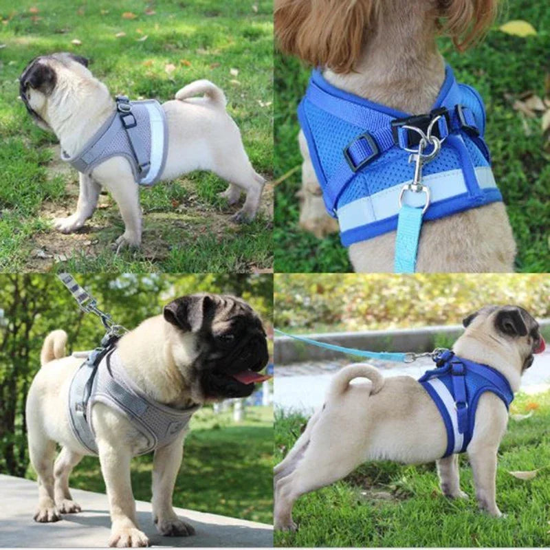 Breathable Adjustable Pet Harness