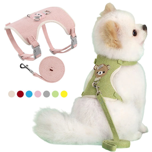 Adorable Pet Harness & Leash